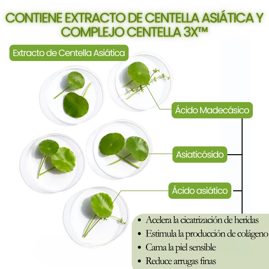 APLB - Hyaluronic Acid Ceramide HA B5 Facial Cream 55ml