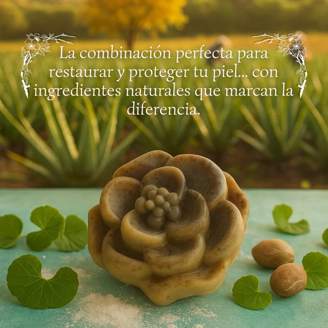 Jabón Medicinal Skin Recover – Cicatriza y Protege tu Piel