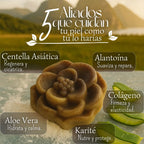 Jabón Medicinal Skin Recover – Cicatriza y Protege tu Piel