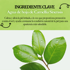 Dr.Althea - Green Tea Fresh Sunscreen 45ml