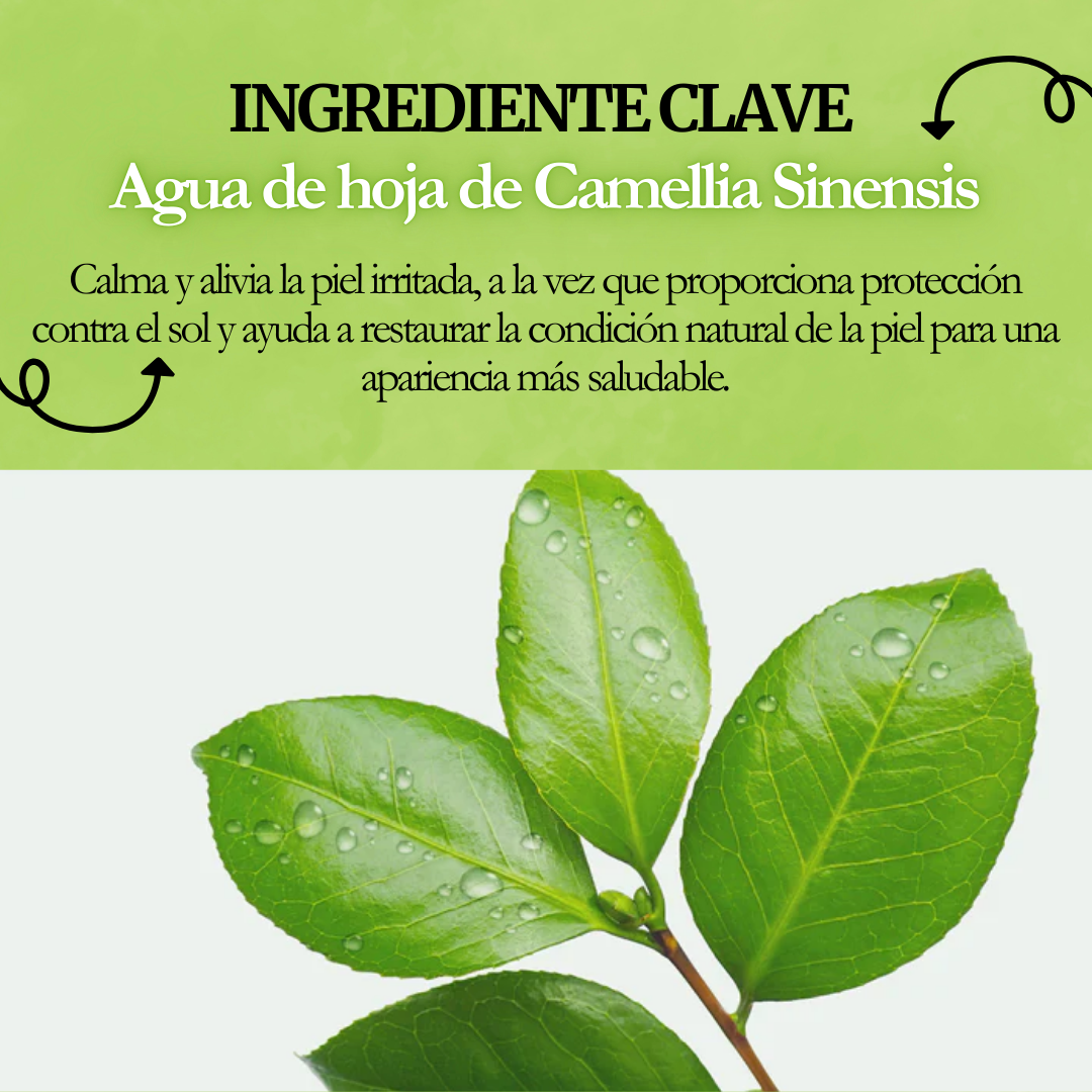 Dr.Althea - Green Tea Fresh Sunscreen 45ml