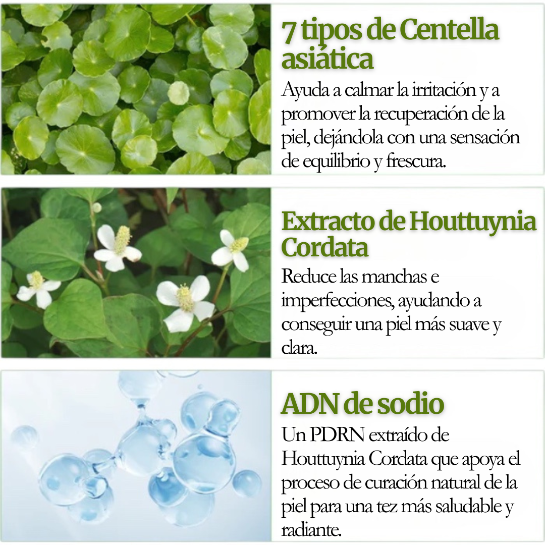 Dr.Althea - Green Tea Fresh Sunscreen 45ml